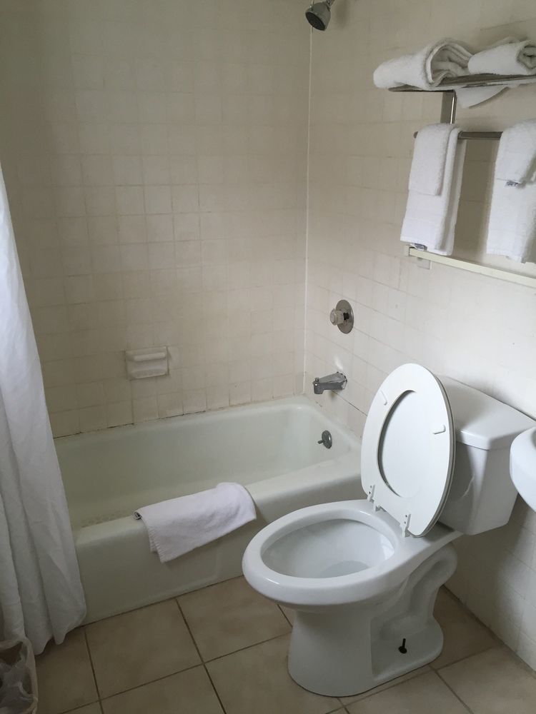 Red Carpet Inn & Suites Albany Airport אלבני מראה חיצוני תמונה